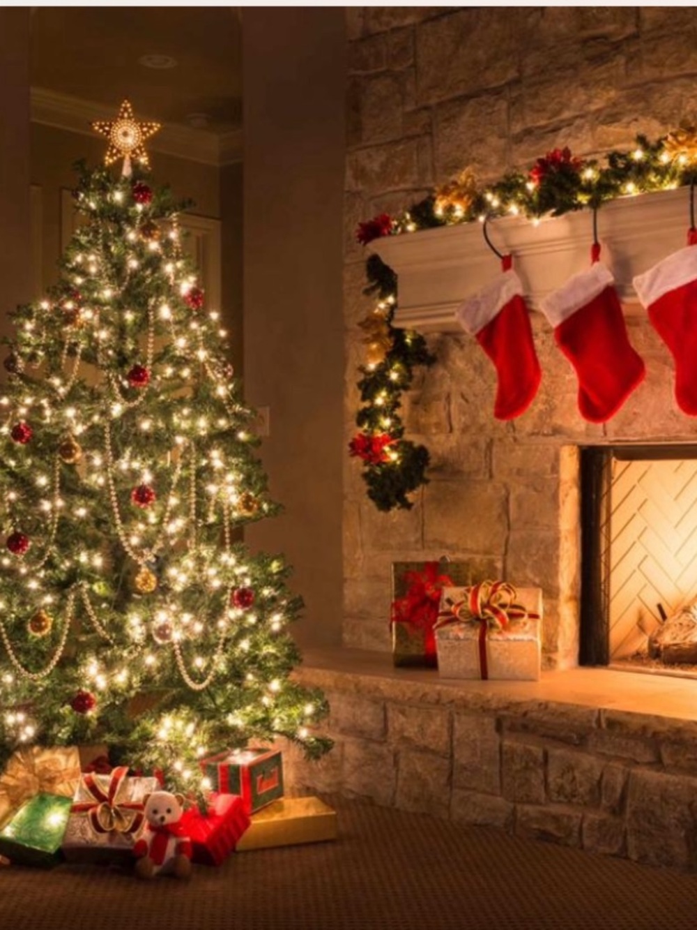 Great Gifts for Christmas🎄🎄🎄🎄🎄🎄